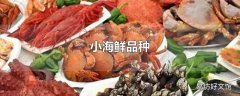 小海鲜品种