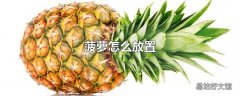 菠萝怎么放置