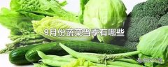 9月份蔬菜当季有哪些