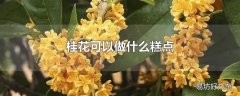 桂花可以做什么糕点