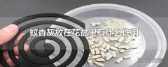 蚊香灰放在花盆里有什么作用