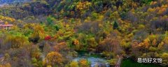 松坪沟在四川什么地方