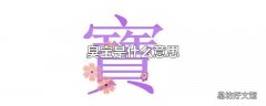 臭宝是什么意思