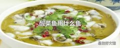 酸菜鱼用什么鱼