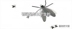苍蝇是怎么产生的