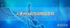 人类dna能与动物结合吗