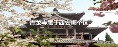 青龙寺属于西安哪个区