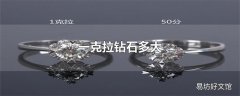 一克拉钻石多大