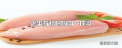 鸡里脊和鸡胸肉一样吗