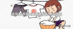 洗完的衣服有股臭味是什么原因