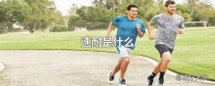 速耐是什么