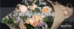 收到鲜花花束怎样养护