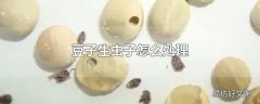 豆子生虫子怎么处理