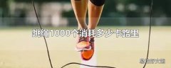 跳绳1000个消耗多少卡路里