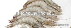 虾40-50大还是50-60大