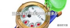 五位黑数字水表00004是多少