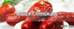 新疆红枣几月份成熟采摘