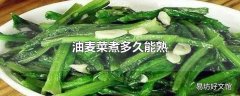 油麦菜煮多久能熟