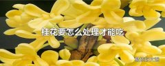 桂花要怎么处理才能吃