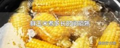 鲜玉米煮多长时间能熟