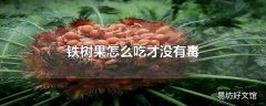 铁树果怎么吃才没有毒