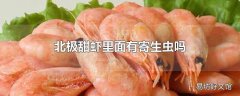 北极甜虾里面有寄生虫吗