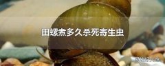 田螺煮多久杀死寄生虫