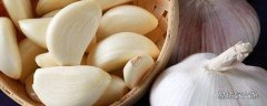 大蒜属于蔬菜吗