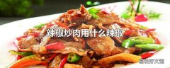 辣椒炒肉用什么辣椒