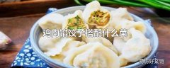 鸡肉馅饺子搭配什么菜