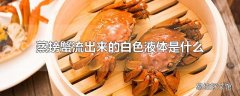 蒸螃蟹流出来的白色液体是什么