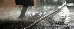 雨水干净吗