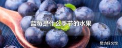 蓝莓是什么季节的水果