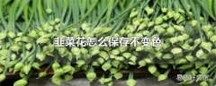 韭菜花怎么保存不变色