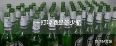 一打啤酒是多少瓶