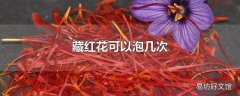 藏红花可以泡几次