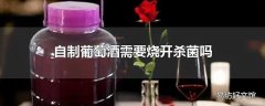 自制葡萄酒需要烧开杀菌吗