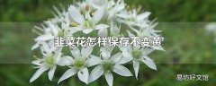 韭菜花怎样保存不变黄