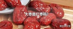 大枣是红枣吗?