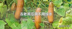 冻老黄瓜用不用焯水