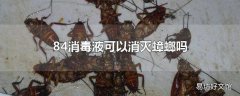84消毒液可以消灭蟑螂吗