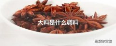 大料是什么调料