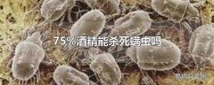 75%酒精能杀死螨虫吗