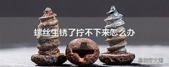 螺丝生锈了拧不下来怎么办