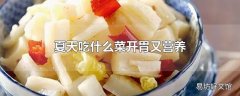 夏天吃什么菜开胃又营养