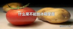 什么菜不能放冰箱里面