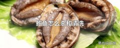 鲍鱼怎么杀和清洗