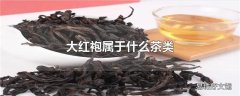 大红袍属于什么茶类