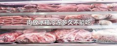 肉放冰箱冷冻多久不能吃