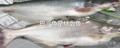 巴沙鱼是什么鱼